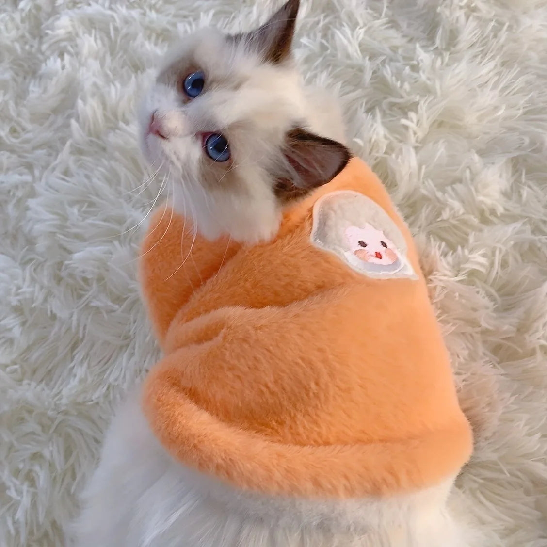 Cats  Warm Clothes for Winter Sweater Vests