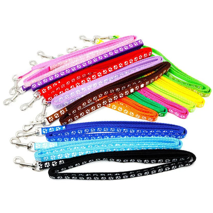 Leash Adjustable Collar Printed