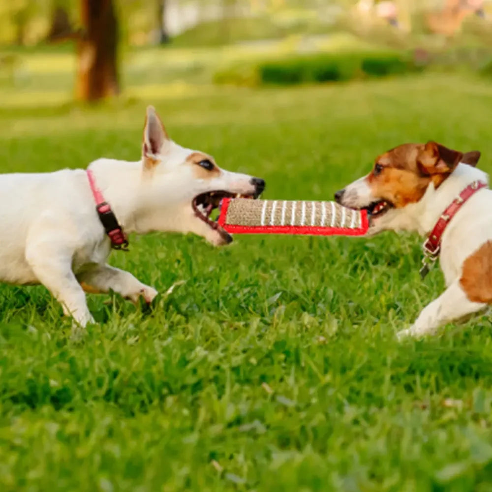 Dog Training Products, Biting Target Stick
