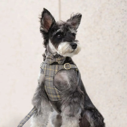 Dog Harness Set Adjustable Plaid Collar Leash Bowtie